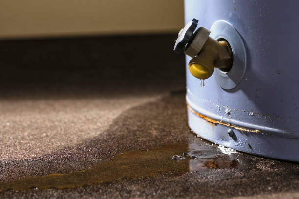 Best Basement water damage restoration  in Red Oaks Mill, NY