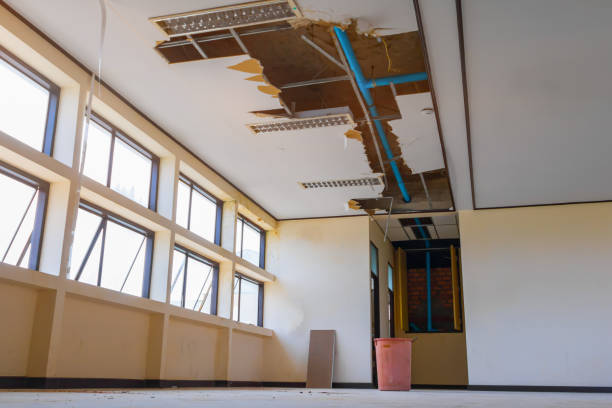 Best Water damage restoration experts  in Red Oaks Mill, NY