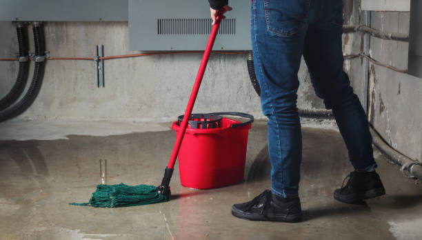 Best Local water damage restoration  in Red Oaks Mill, NY