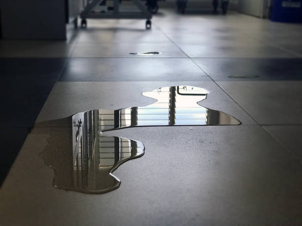 Best Professional water damage repair  in Red Oaks Mill, NY